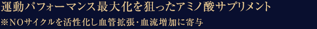 運動パフォーマンス最大化を狙ったアミノ酸サプリメント